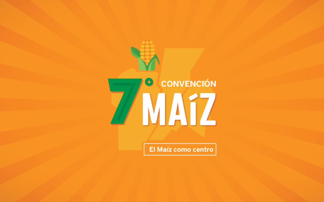 7 convencion maiz