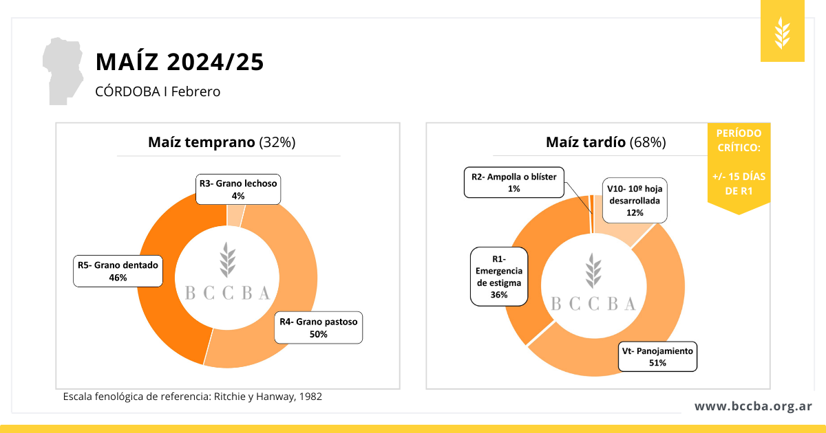 Diagrama El contenido generado por IA puede ser incorrecto.
