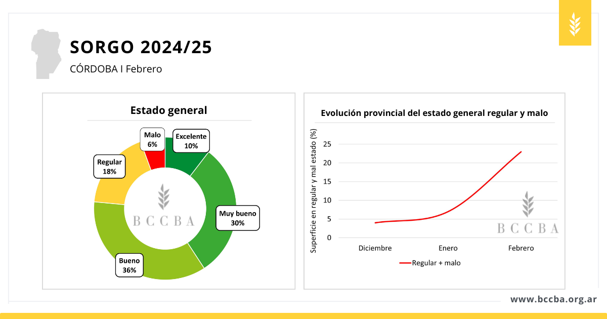 Gráfico El contenido generado por IA puede ser incorrecto.
