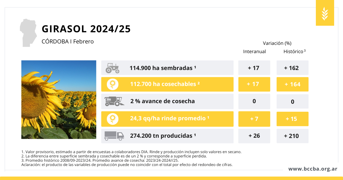 Interfaz de usuario gráfica, Aplicación El contenido generado por IA puede ser incorrecto.