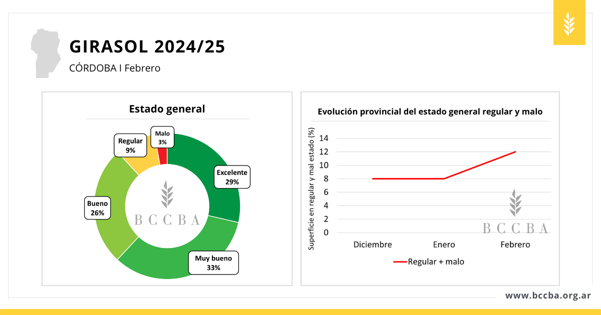 Interfaz de usuario gráfica, Diagrama, Aplicación El contenido generado por IA puede ser incorrecto.