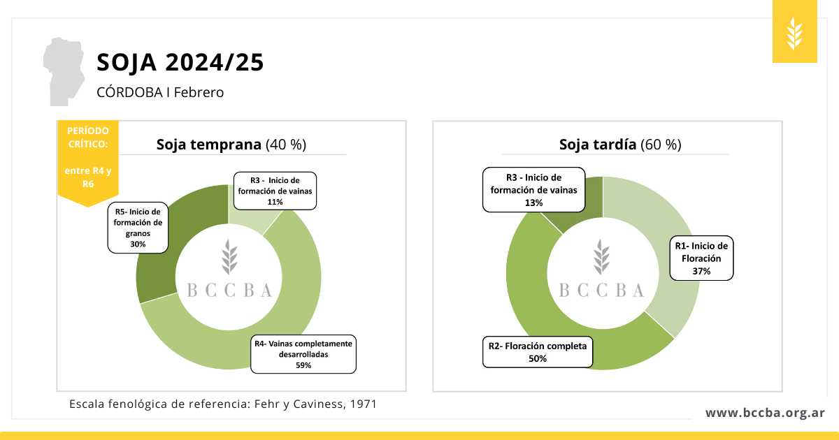 Interfaz de usuario gráfica, Diagrama El contenido generado por IA puede ser incorrecto.