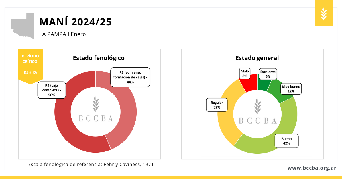 Diagrama

El contenido generado por IA puede ser incorrecto.