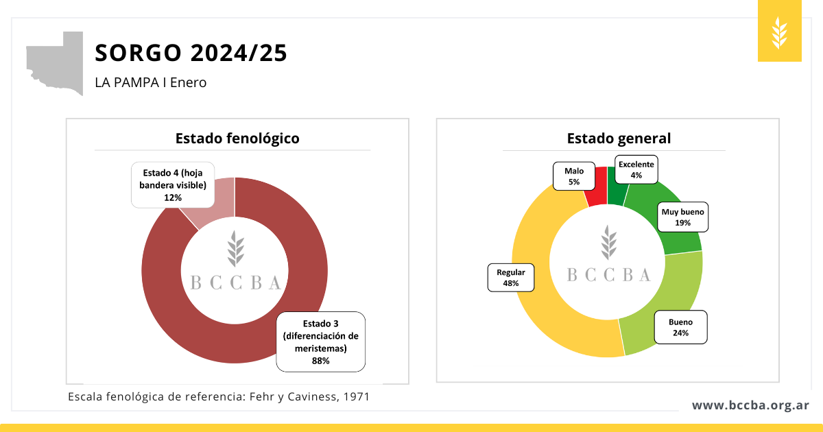 Diagrama

El contenido generado por IA puede ser incorrecto.