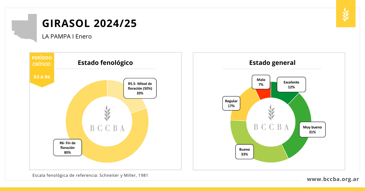 Diagrama

El contenido generado por IA puede ser incorrecto.