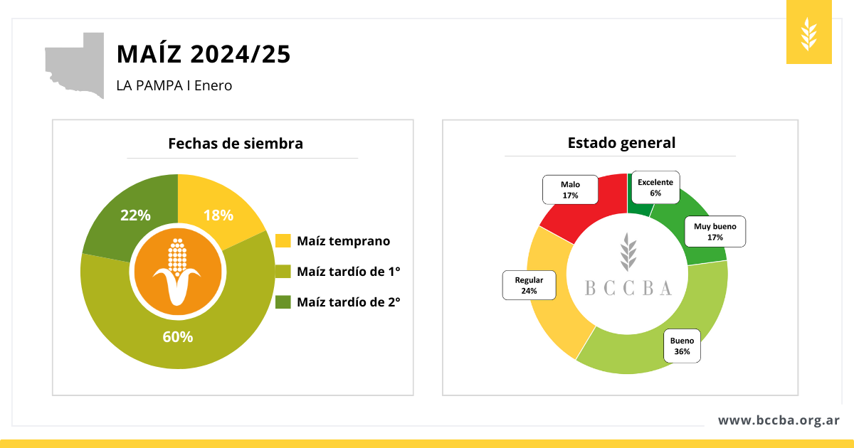 Gráfico

El contenido generado por IA puede ser incorrecto.
