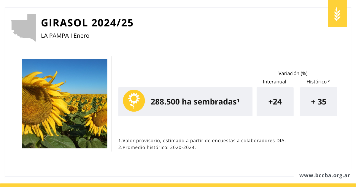 Interfaz de usuario gráfica, Aplicación

El contenido generado por IA puede ser incorrecto.