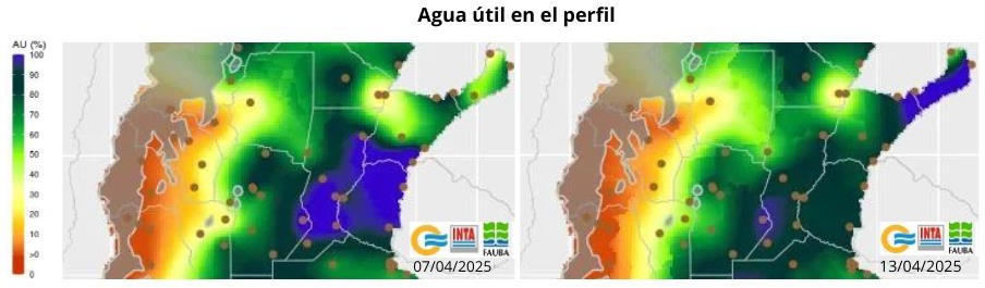 Imagen que contiene Sitio web El contenido generado por IA puede ser incorrecto.