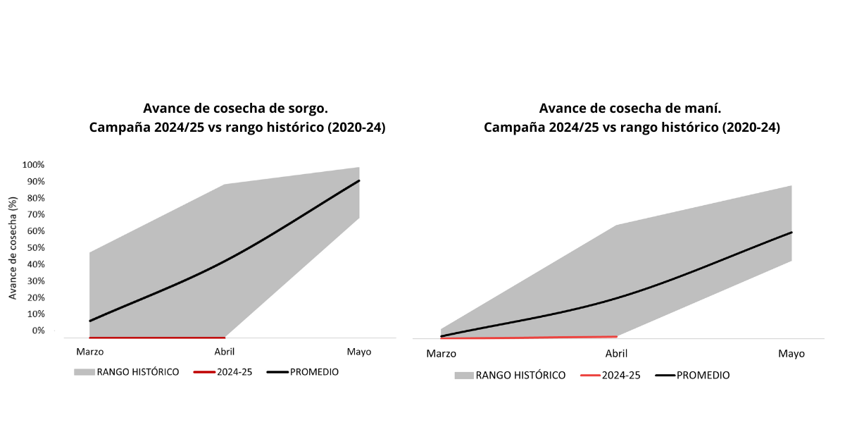 Gráfico El contenido generado por IA puede ser incorrecto.