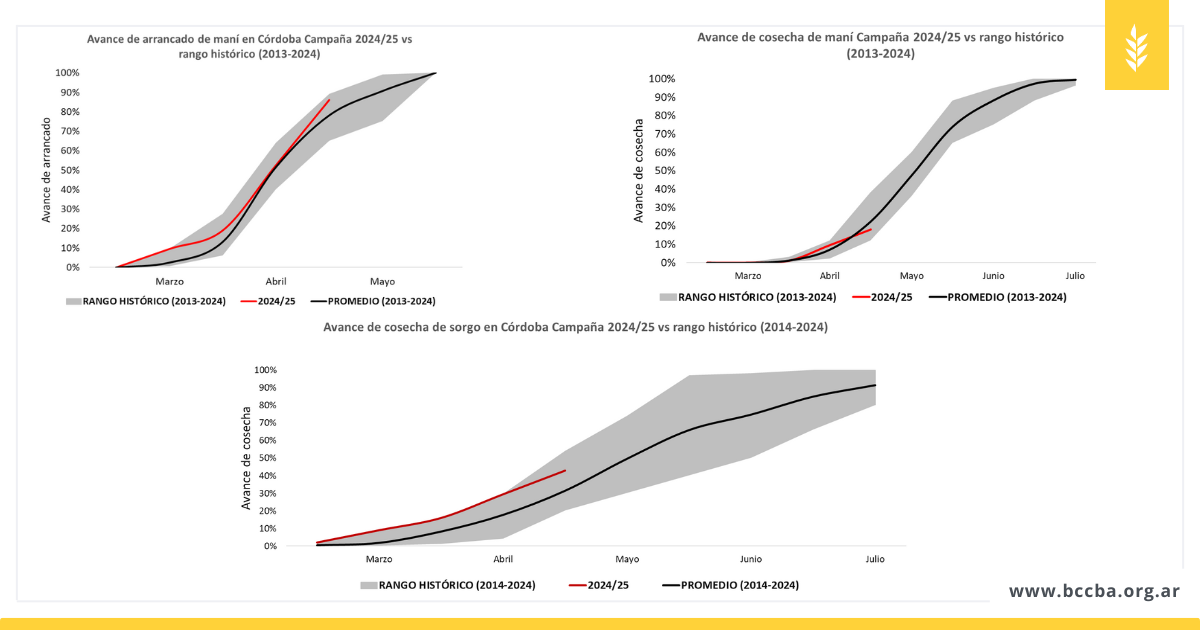 Gráfico, Gráfico de líneas

El contenido generado por IA puede ser incorrecto.