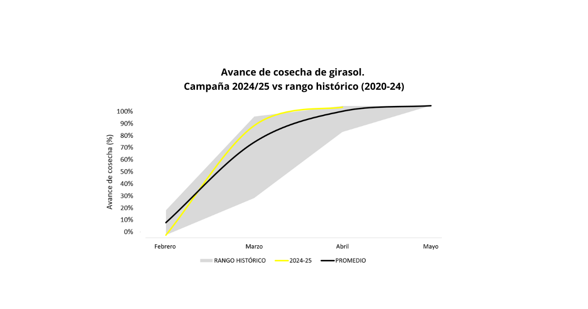 Gráfico, Gráfico de líneas El contenido generado por IA puede ser incorrecto.