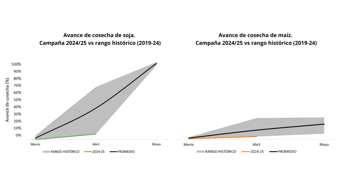 Gráfico, Gráfico de superficie El contenido generado por IA puede ser incorrecto.