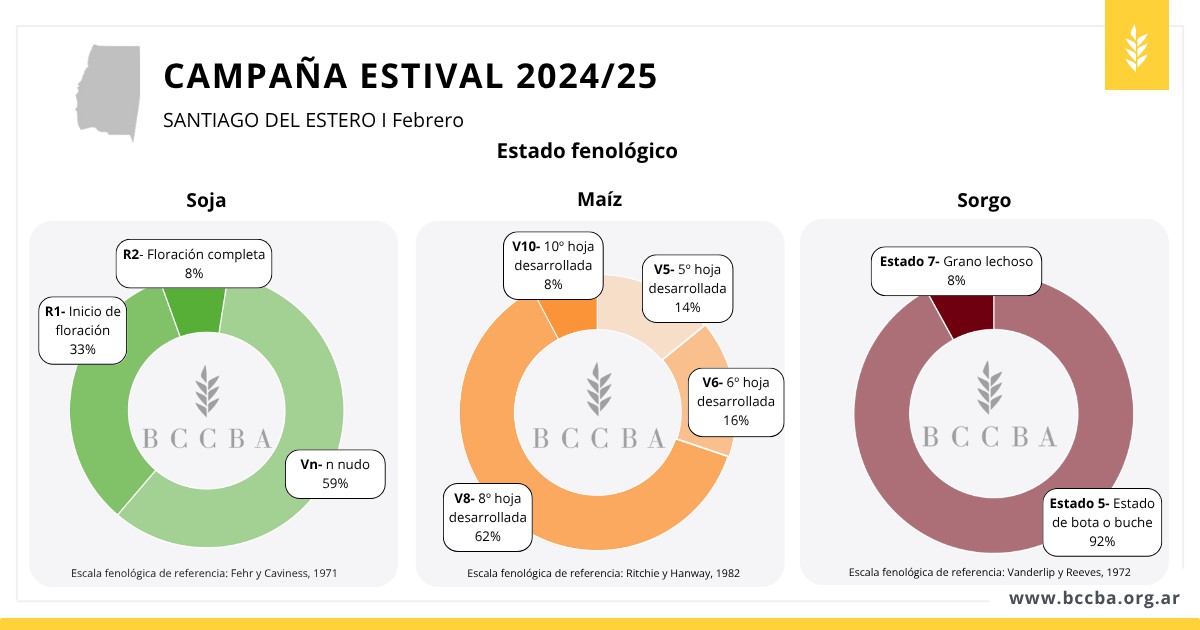 Gráfico El contenido generado por IA puede ser incorrecto.