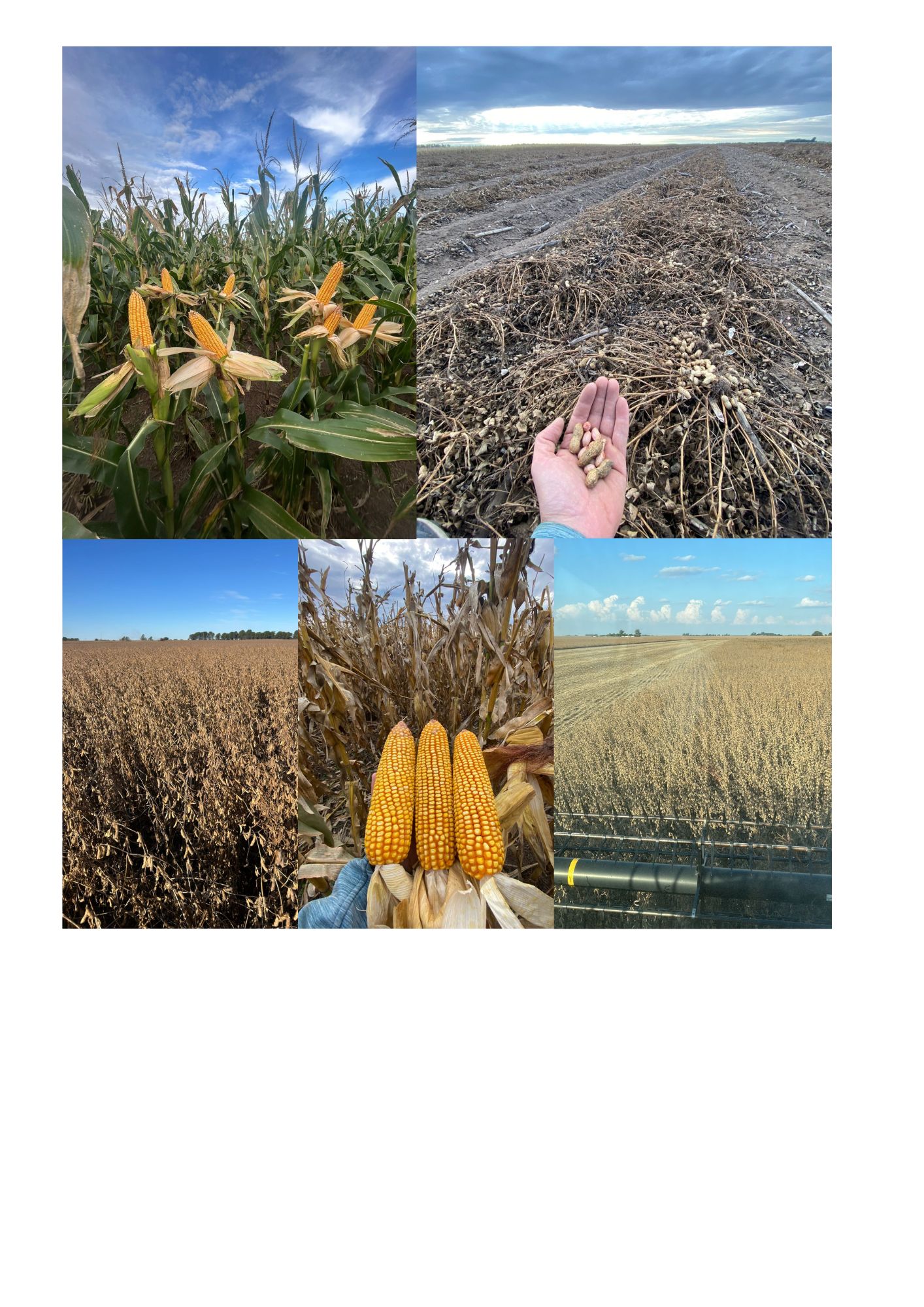 Imagen que contiene Interfaz de usuario gráfica El contenido generado por IA puede ser incorrecto.