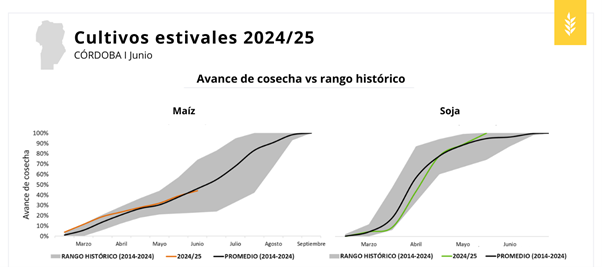 Gráfico
El contenido generado por IA puede ser incorrecto.