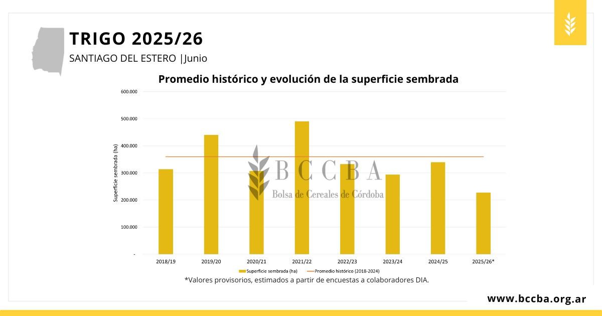 Gráfico, Gráfico de barras El contenido generado por IA puede ser incorrecto.