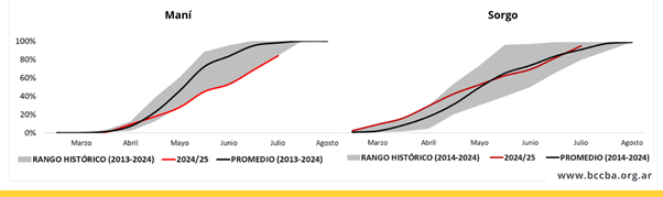 Gráfico, Gráfico de superficie
El contenido generado por IA puede ser incorrecto.