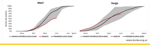 Gráfico, Gráfico de superficie
El contenido generado por IA puede ser incorrecto.