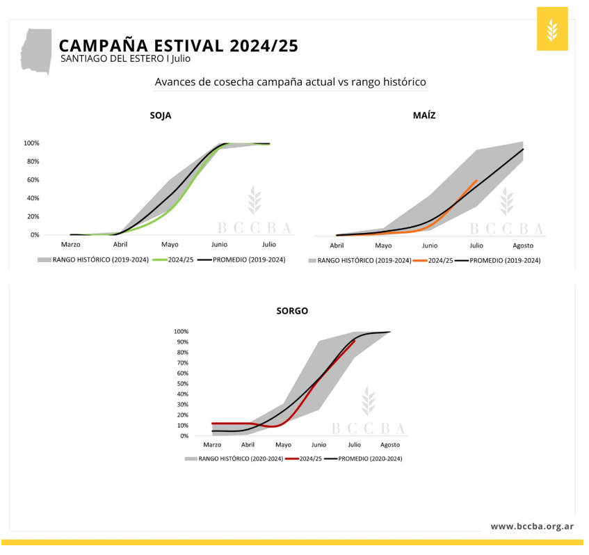 Imagen que contiene Aplicación
El contenido generado por IA puede ser incorrecto.