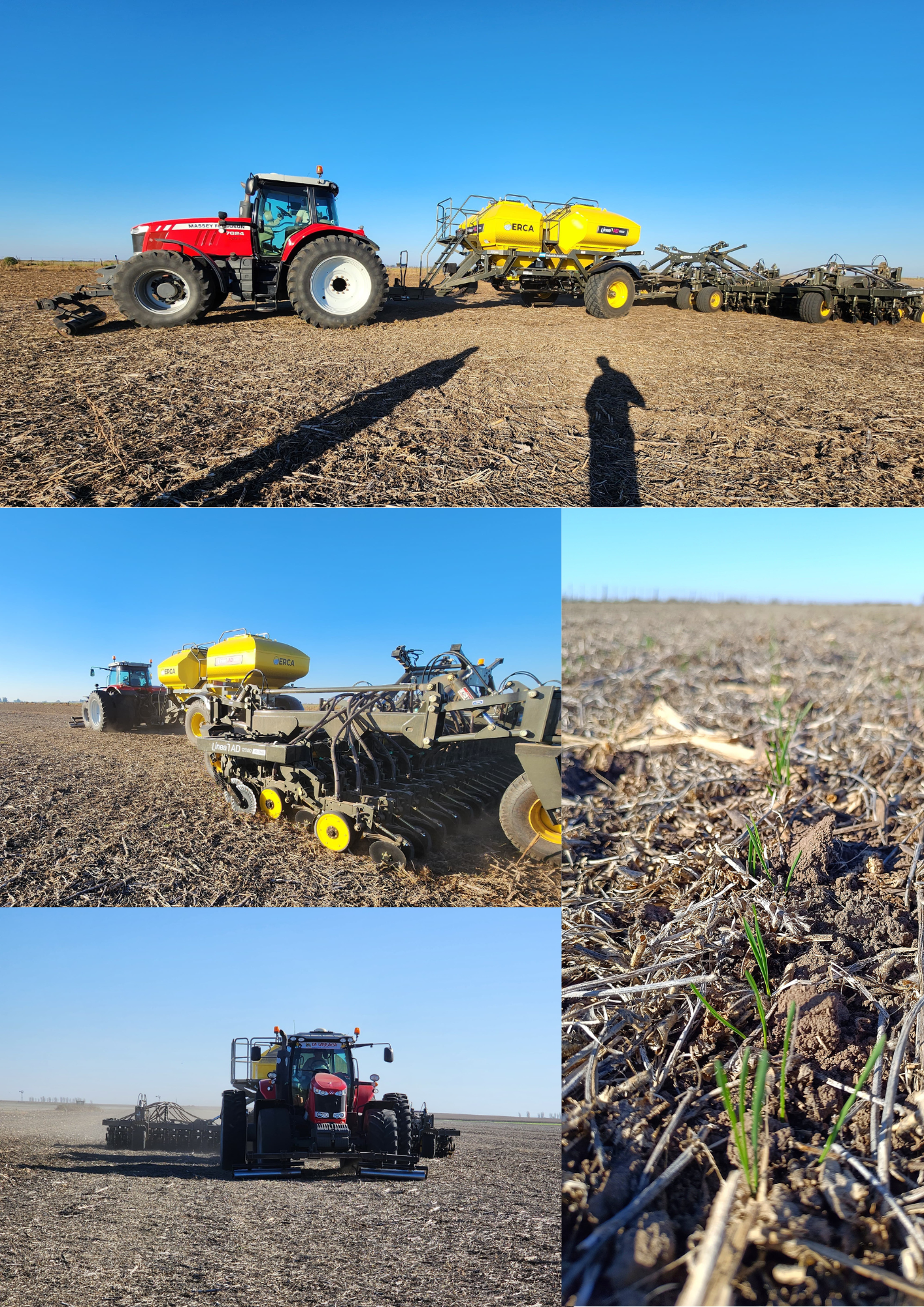 Imagen que contiene lego, juguete, diferente, coche El contenido generado por IA puede ser incorrecto.