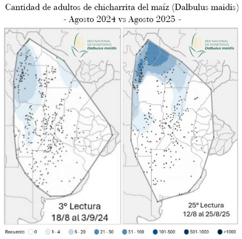 Diagrama El contenido generado por IA puede ser incorrecto.