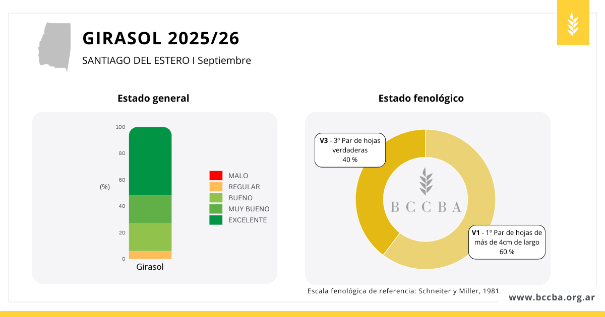 Gráfico El contenido generado por IA puede ser incorrecto.