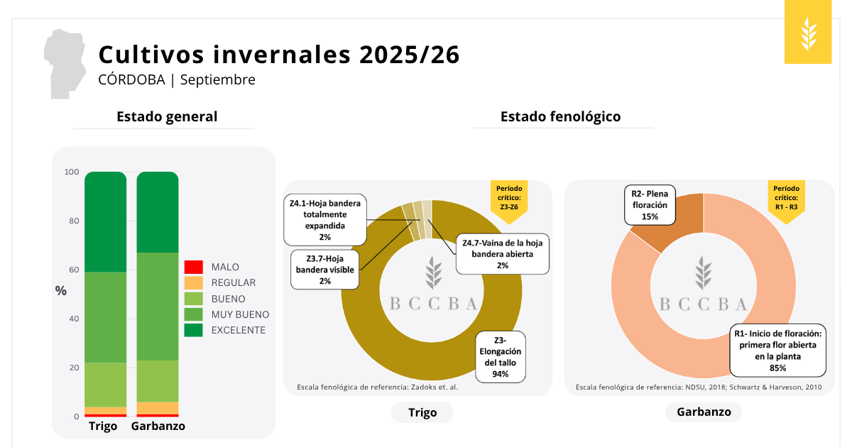 Interfaz de usuario gráfica
El contenido generado por IA puede ser incorrecto.