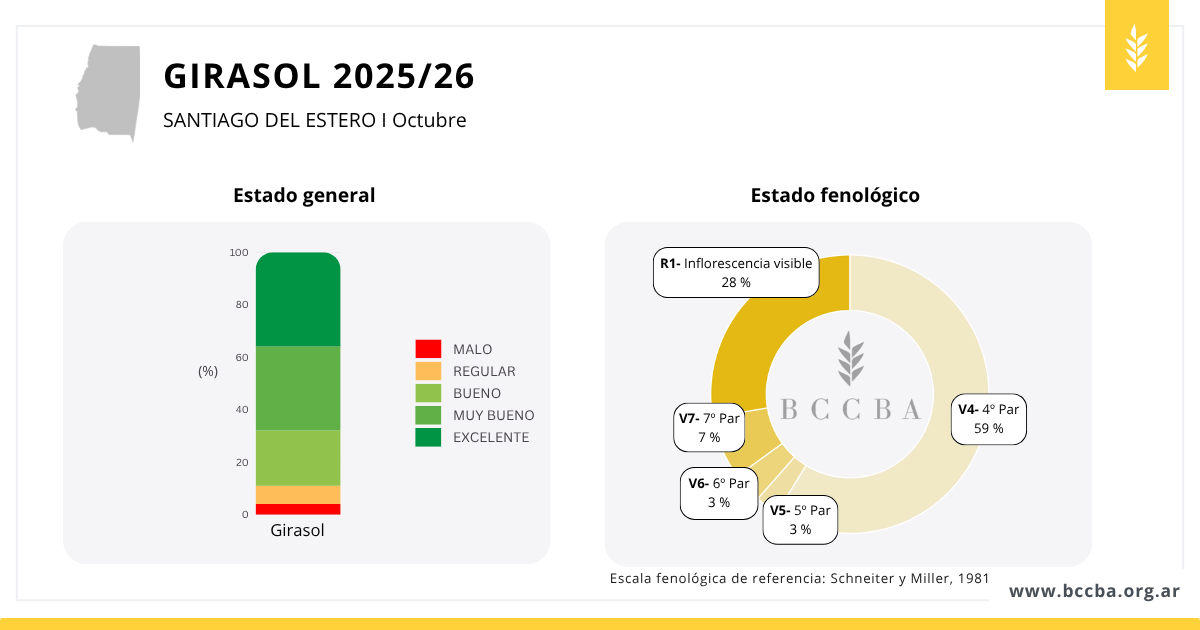 Gráfico
El contenido generado por IA puede ser incorrecto.