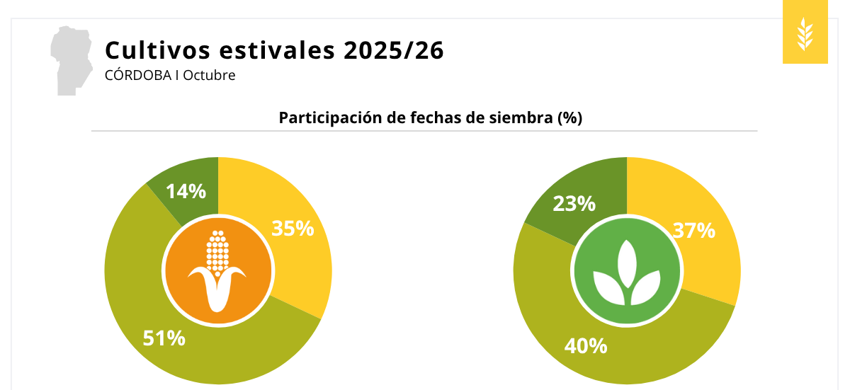 Gráfico, Gráfico circular El contenido generado por IA puede ser incorrecto.
