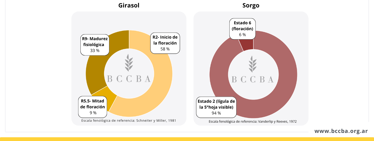 Imagen que contiene Diagrama
El contenido generado por IA puede ser incorrecto.
