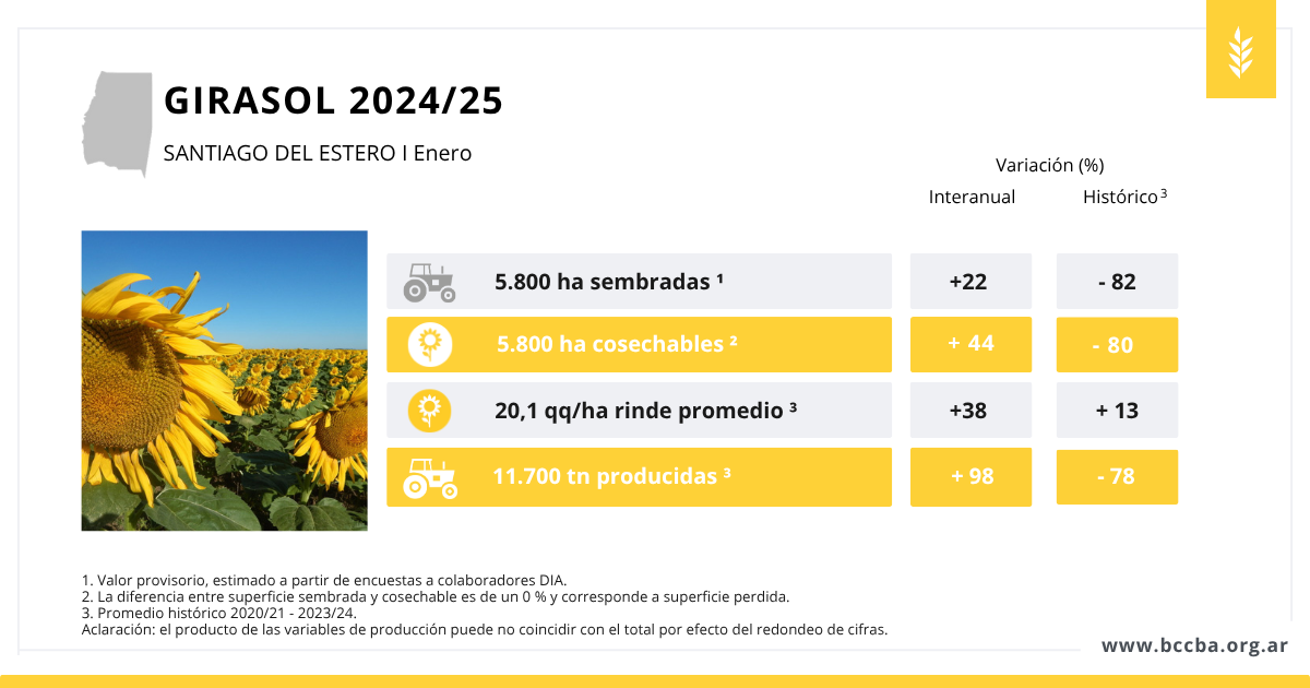 Interfaz de usuario gráfica, Aplicación
El contenido generado por IA puede ser incorrecto.