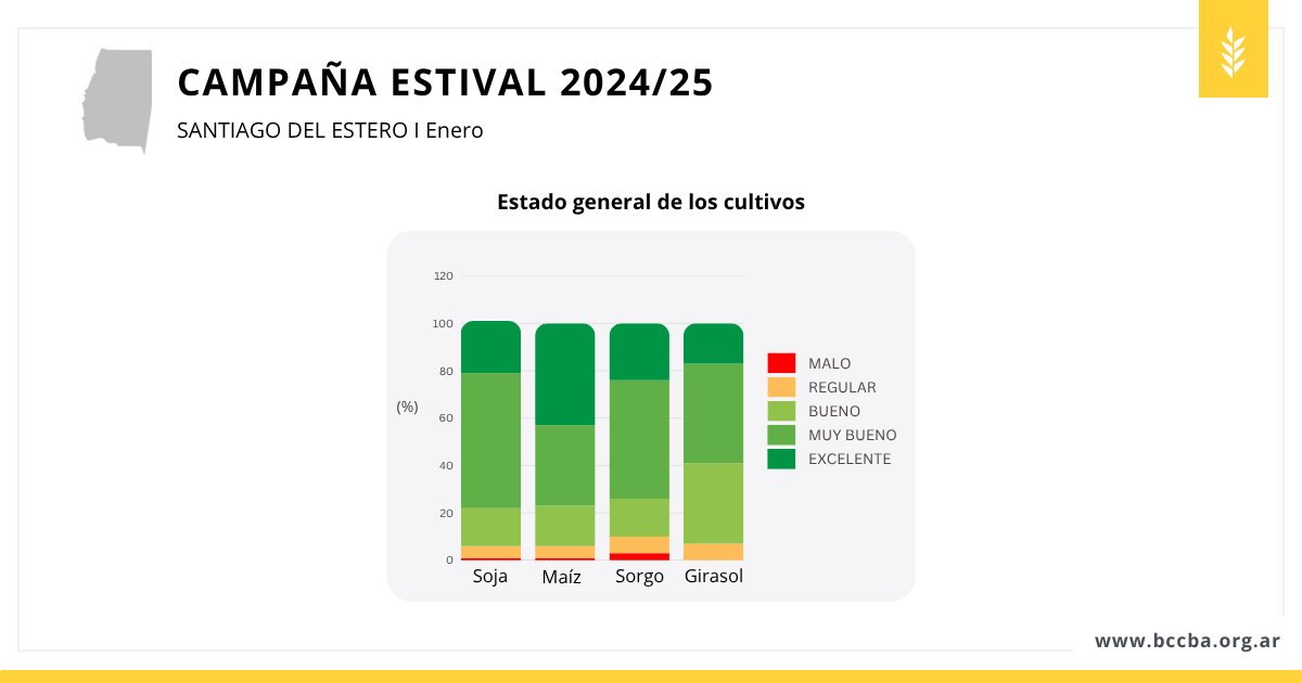 Interfaz de usuario gráfica, Gráfico, Aplicación
El contenido generado por IA puede ser incorrecto.