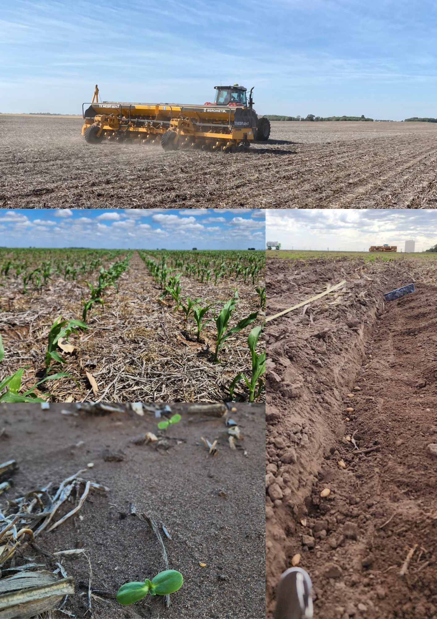Un barco en la arena

El contenido generado por IA puede ser incorrecto.