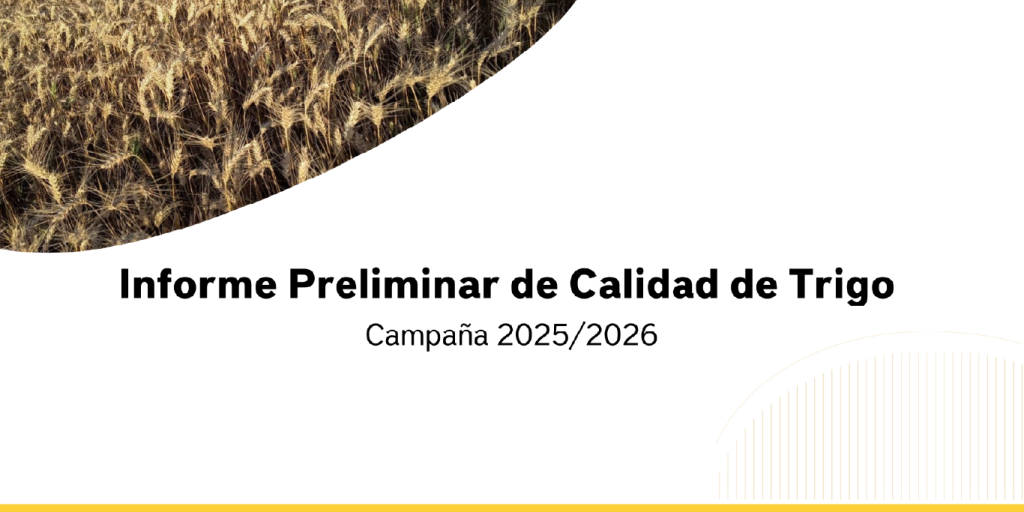Informe Preliminar de Calidad de Trigo – Campaña 2025/2026