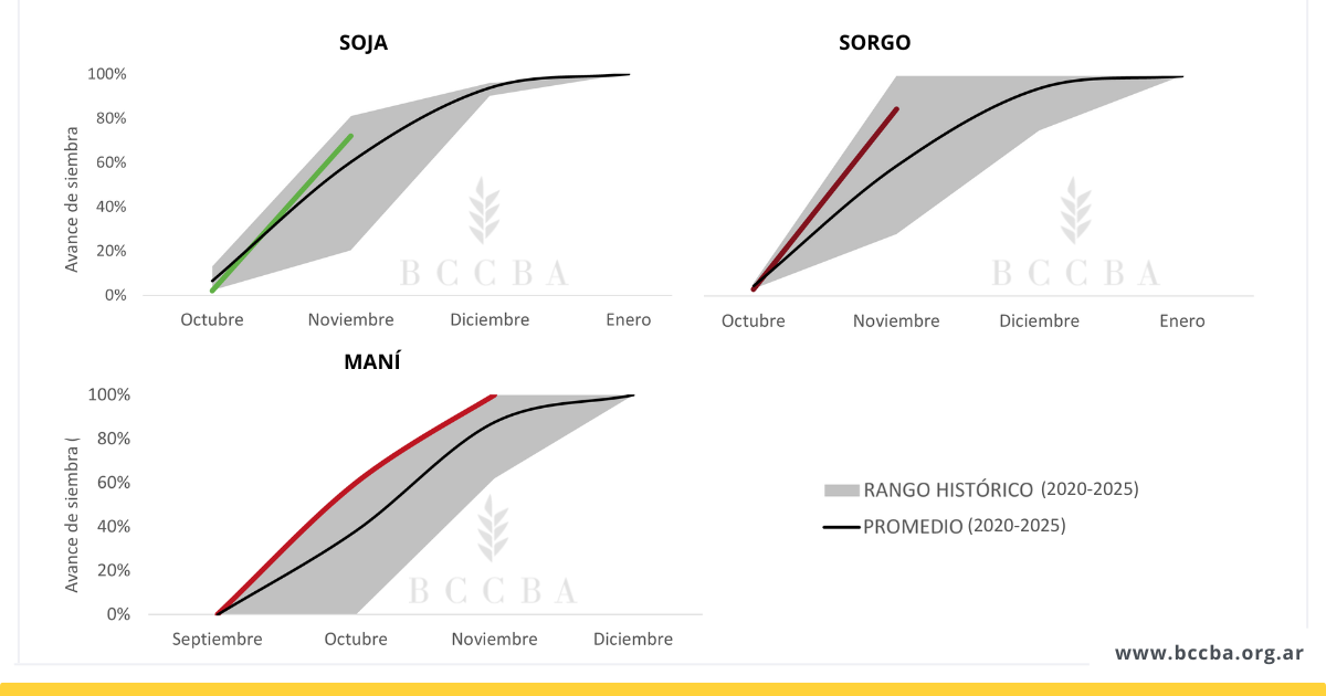Gráfico

El contenido generado por IA puede ser incorrecto.