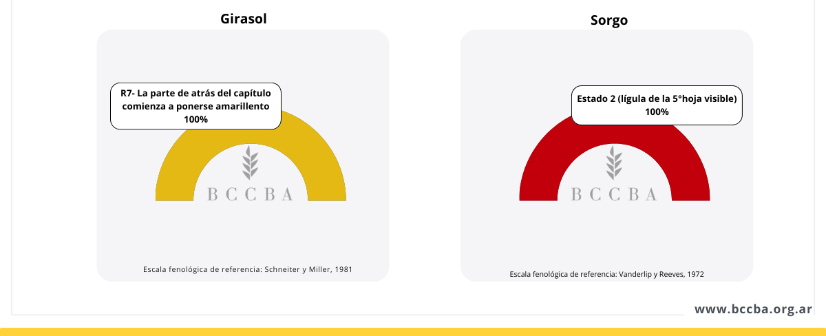 Interfaz de usuario gráfica, Texto, Aplicación El contenido generado por IA puede ser incorrecto.