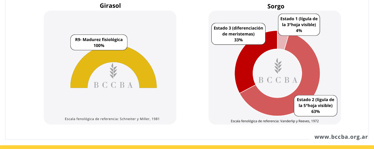 Interfaz de usuario gráfica, Aplicación El contenido generado por IA puede ser incorrecto.