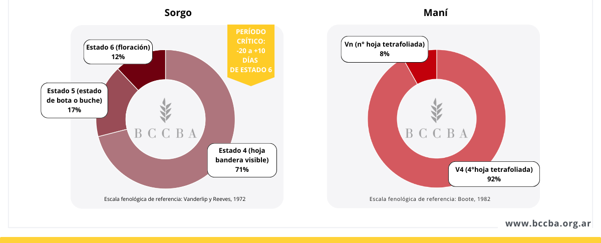 Interfaz de usuario gráfica, Aplicación El contenido generado por IA puede ser incorrecto.
