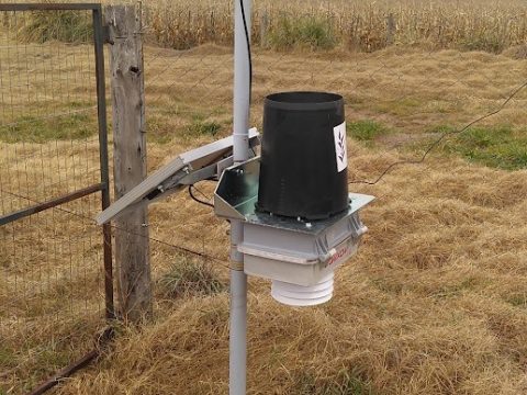 WhatsApp Image 2025-07-15 at 10.53.00 AM